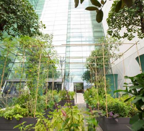Herb garden di Marina Bay Sands